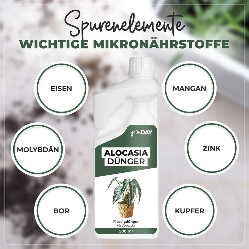 Alocasia-Flüssigdünger 500 ml