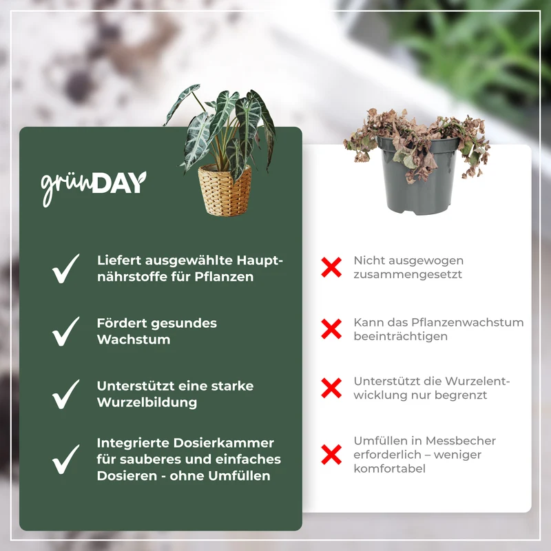 Alocasia-Flüssigdünger 500 ml