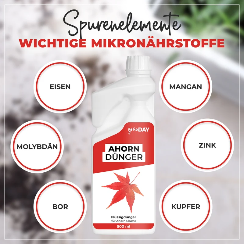 Ahorn-Flüssigdünger 500 ml