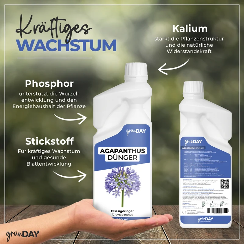 Agapanthus-Flüssigdünger 500 ml