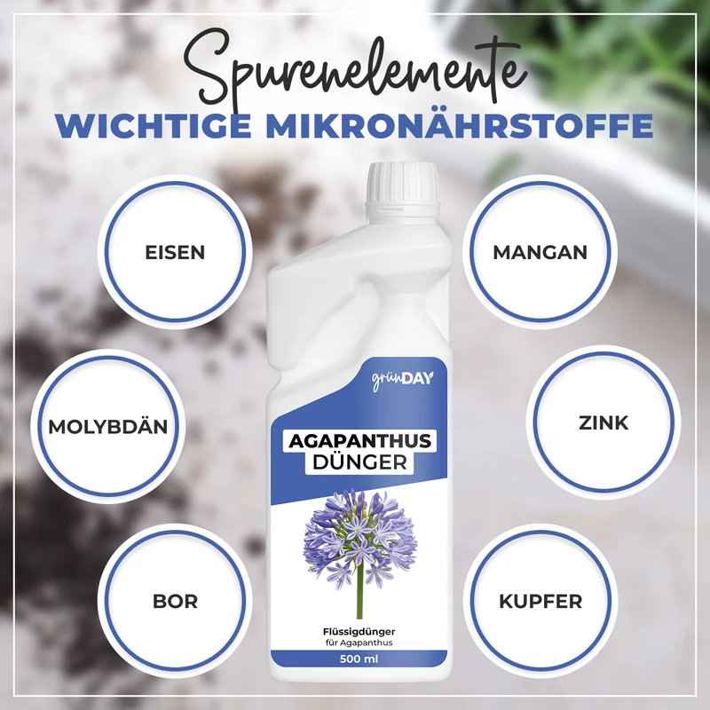 Agapanthus-Flüssigdünger 500 ml