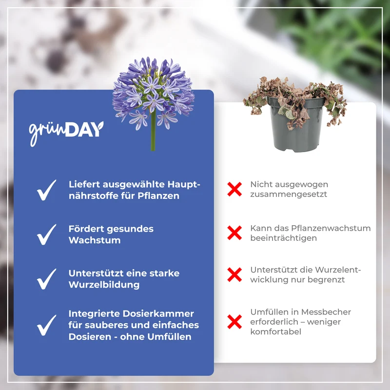 Agapanthus-Flüssigdünger 500 ml