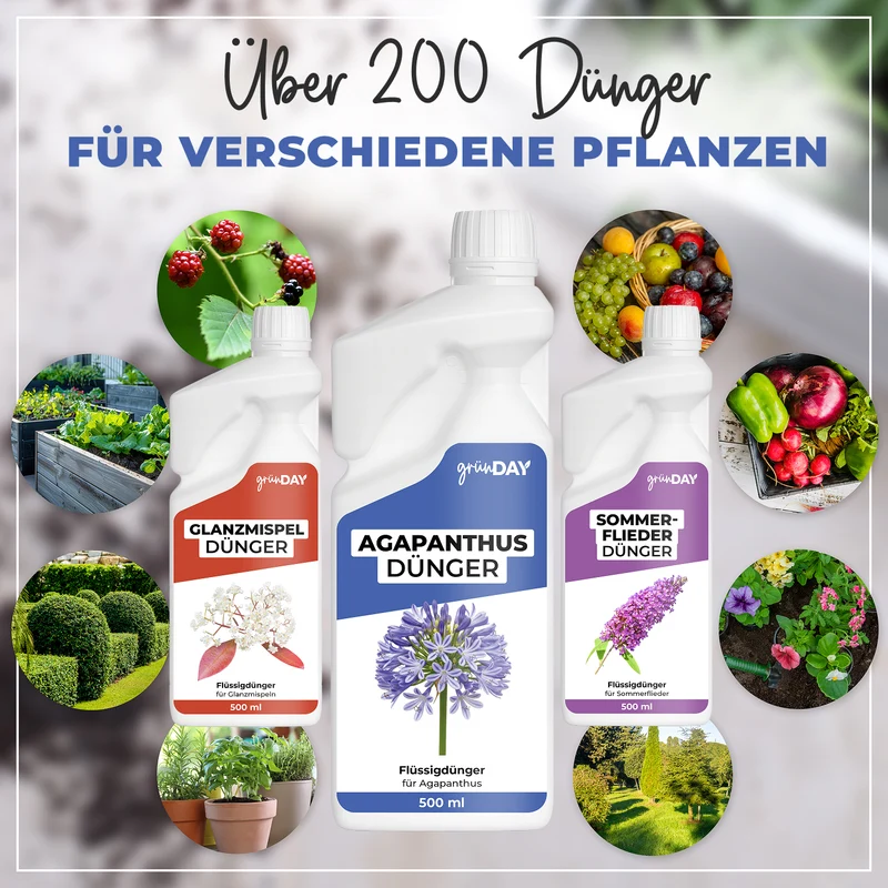 Agapanthus-Flüssigdünger 500 ml