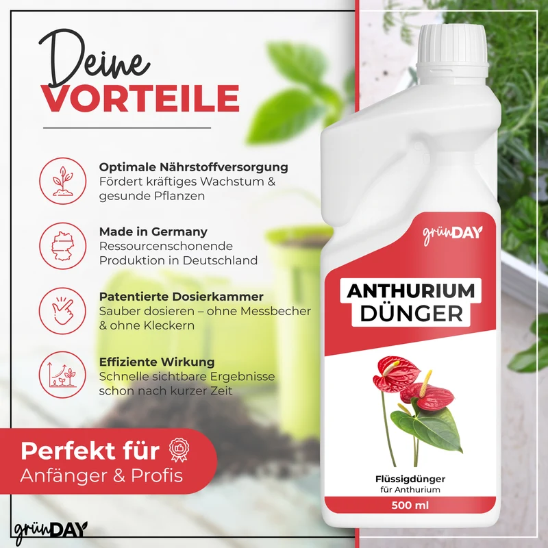 Anthurium-Flüssigdünger 500 ml