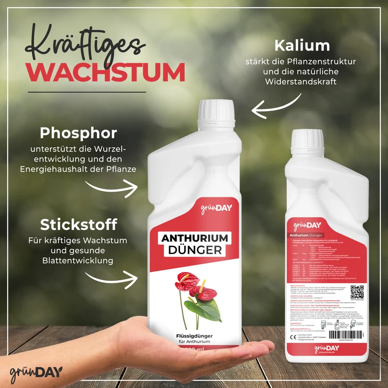 Anthurium-Flüssigdünger 500 ml