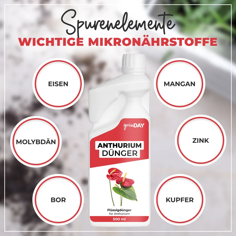Anthurium-Flüssigdünger 500 ml