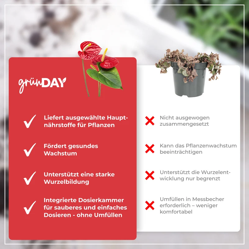 Anthurium-Flüssigdünger 500 ml