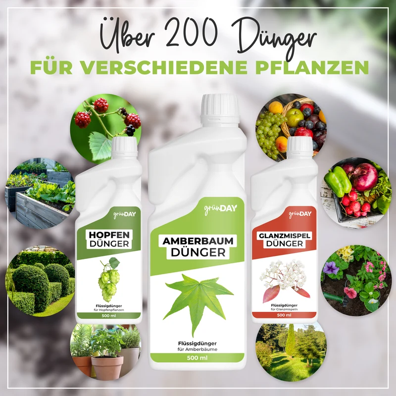 Amberbaum-Flüssigdünger 500 ml