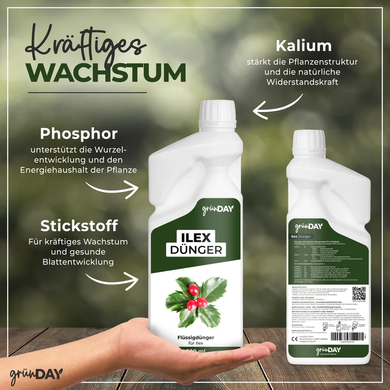 Ilex-Flüssigdünger 500 ml