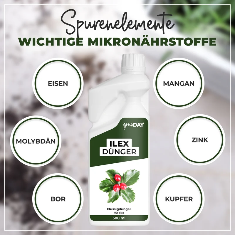 Ilex-Flüssigdünger 500 ml
