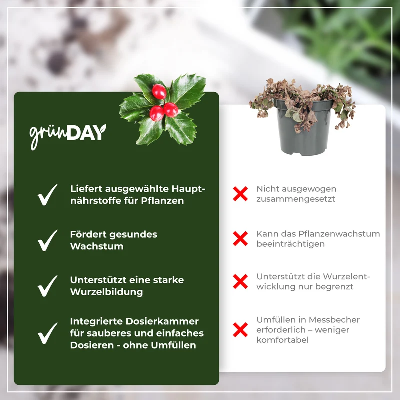 Ilex-Flüssigdünger 500 ml