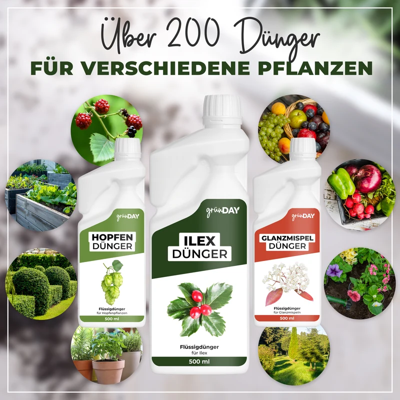 Ilex-Flüssigdünger 500 ml
