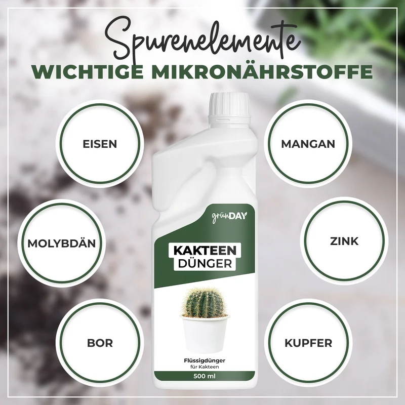 Kakteen-Flüssigdünger 500 ml
