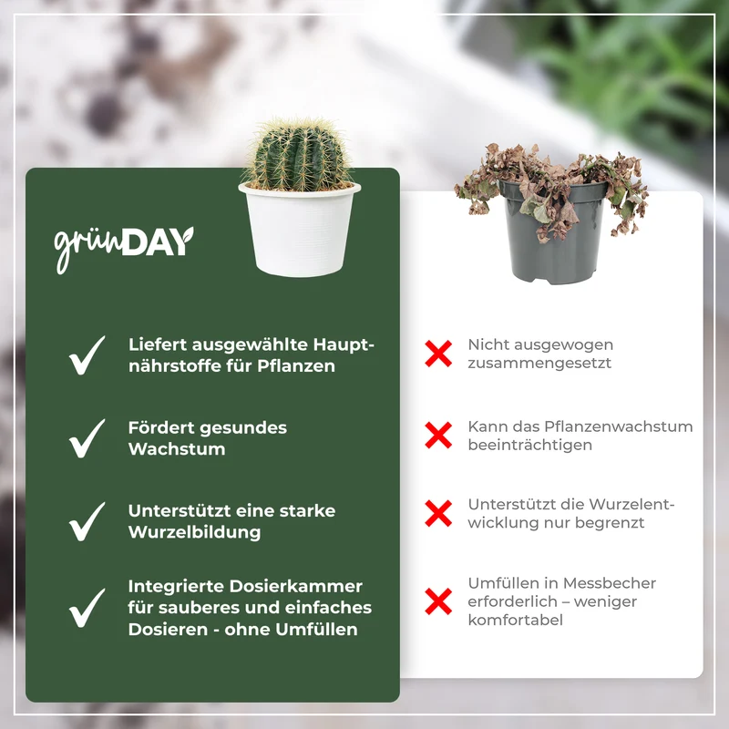 Kakteen-Flüssigdünger 500 ml