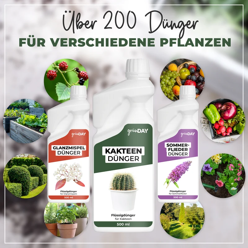 Kakteen-Flüssigdünger 500 ml