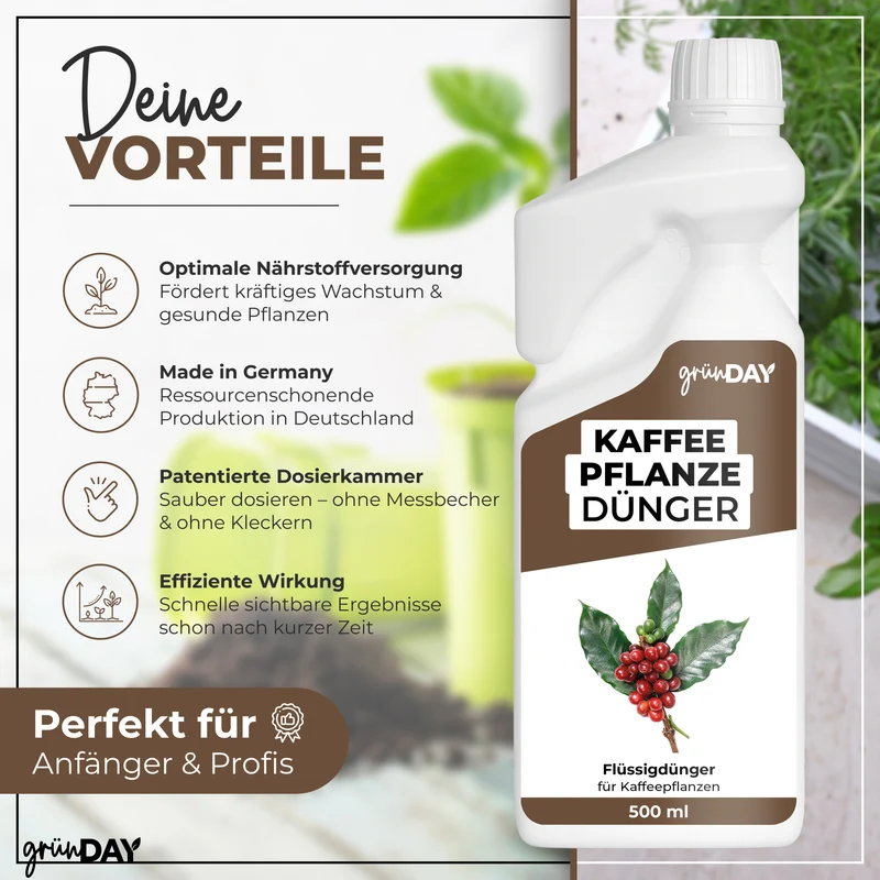 Kaffeepflanze-Flüssigdünger 500 ml