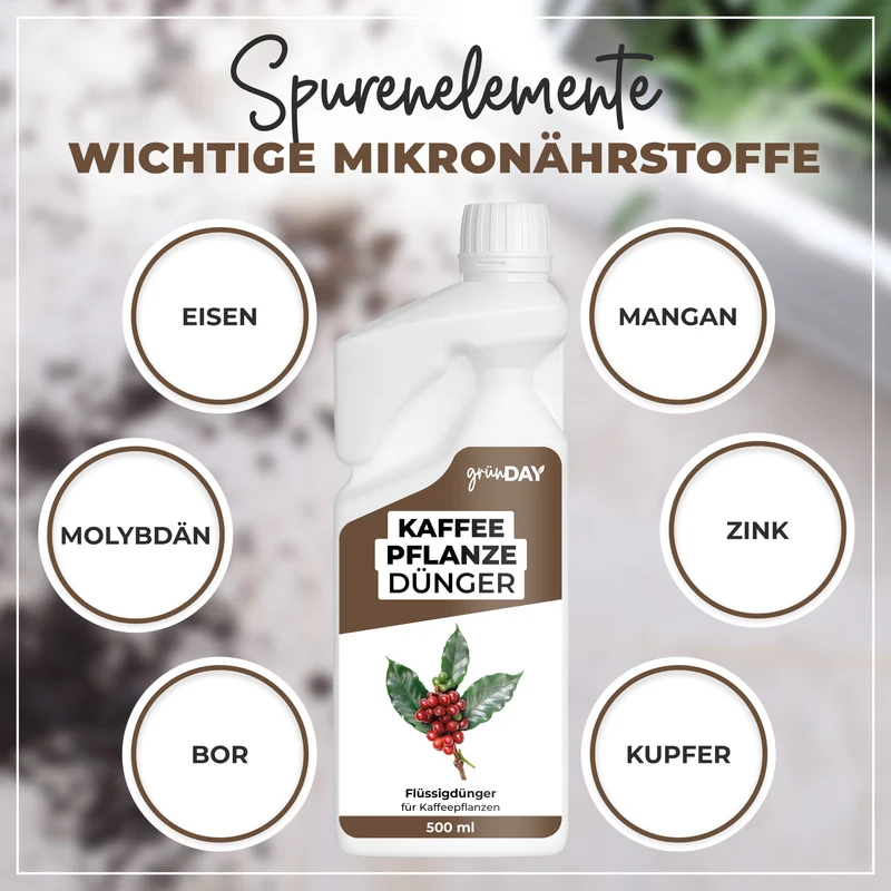 Kaffeepflanze-Flüssigdünger 500 ml