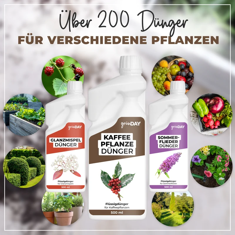 Kaffeepflanze-Flüssigdünger 500 ml