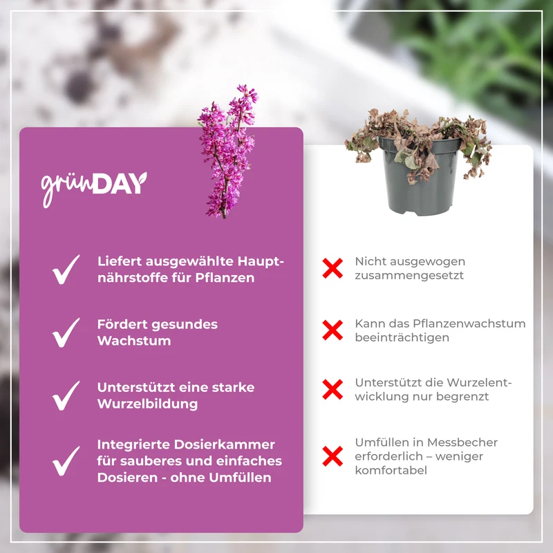Judasbaum-Flüssigdünger 500 ml