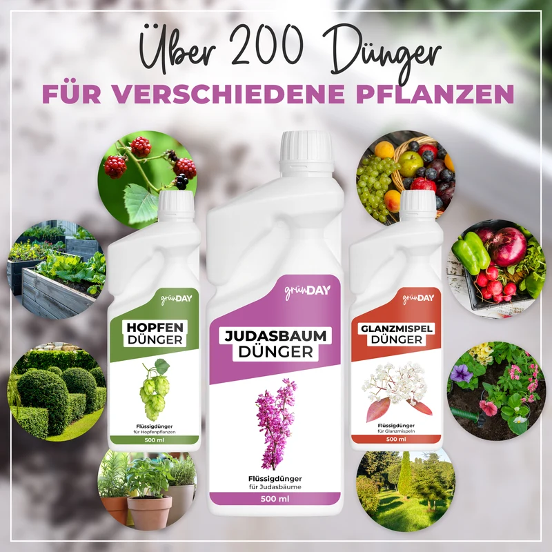 Judasbaum-Flüssigdünger 500 ml