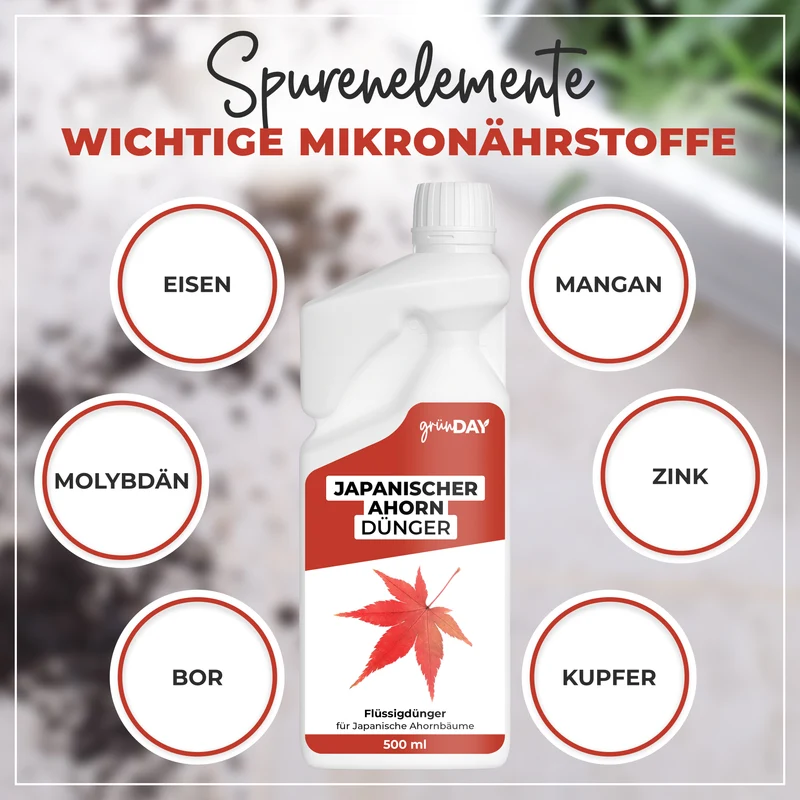 Japanischer Ahorn-Flüssigdünger 500 ml