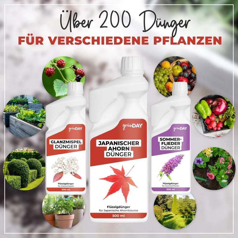 Japanischer Ahorn-Flüssigdünger 500 ml