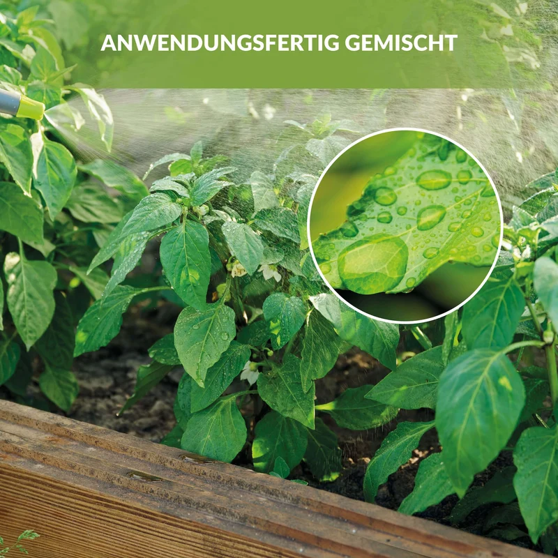 Neemöl 3 Liter | anwendungsfertiges Pflanzenhilfsmittel für Innen und Außen