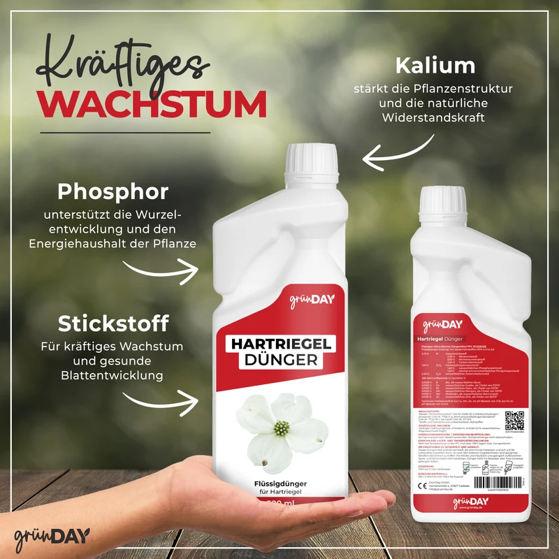 Hartriegel-Flüssigdünger 500 ml