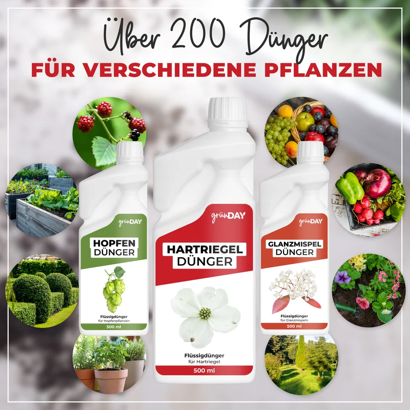 Hartriegel-Flüssigdünger 500 ml