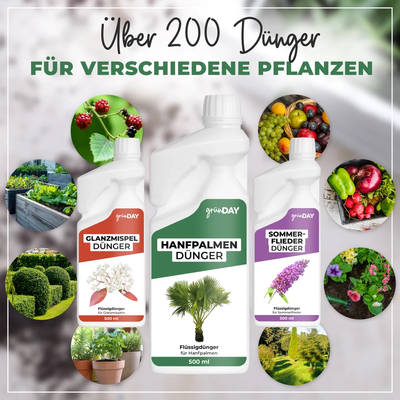 Hanfpalmen-Flüssigdünger 500 ml
