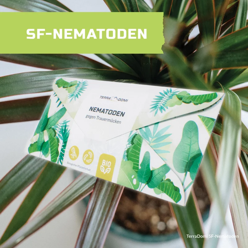 TerraDomi SF Nematoden gegen Trauermücken