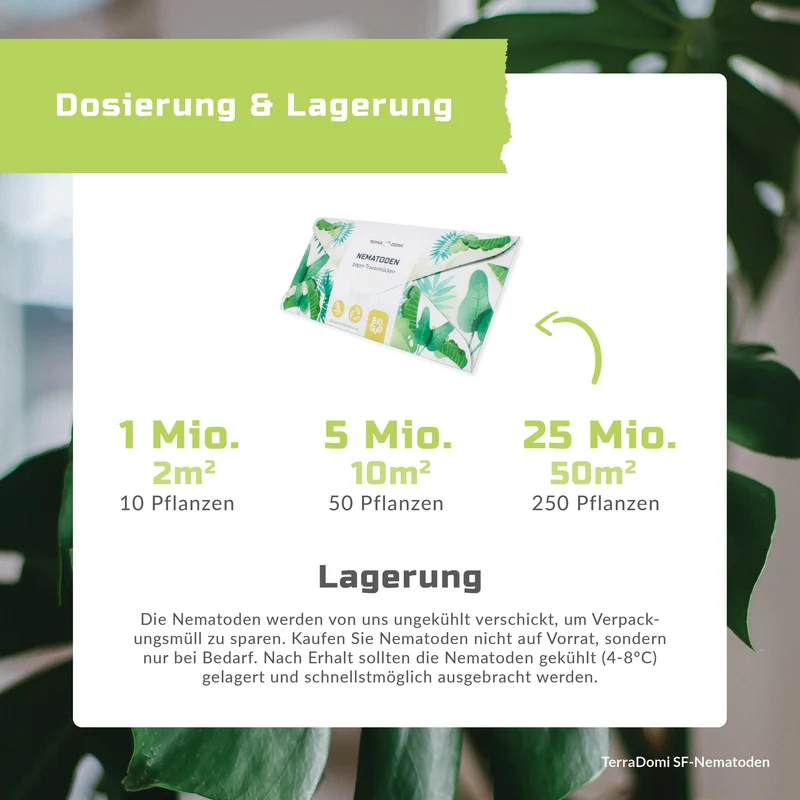 TerraDomi SF Nematoden gegen Trauermücken