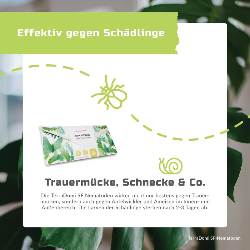 TerraDomi SF Nematoden gegen Trauermücken
