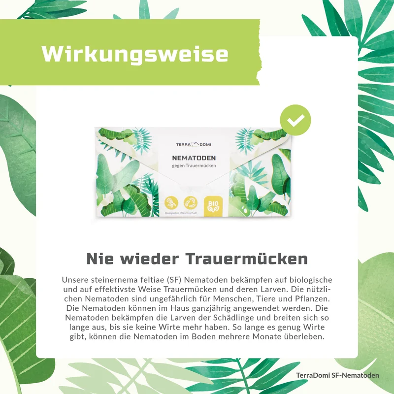TerraDomi SF Nematoden gegen Trauermücken