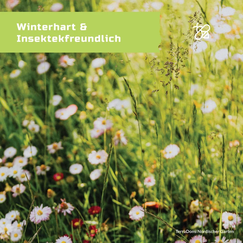 TerraDomi 300g nordischer Garten winterharte Blumenmischung
