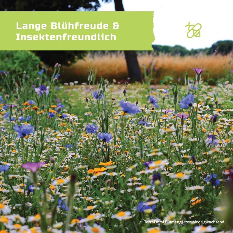 Blumen-Garten 200g niedrigwachsende Blumenmischung