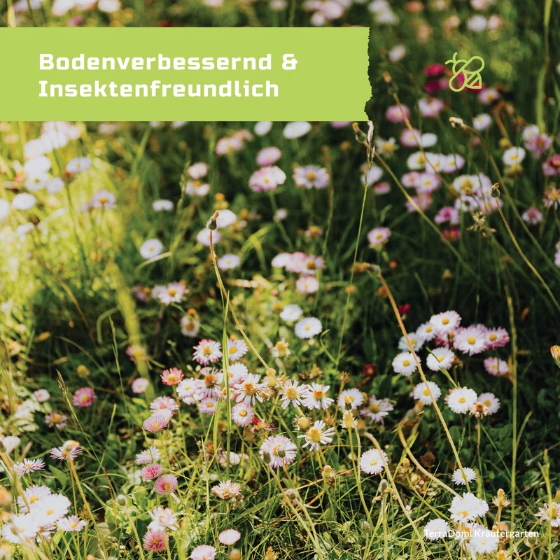 Kräuter-Garten 300g I Mischung mit duftigen Kräutern