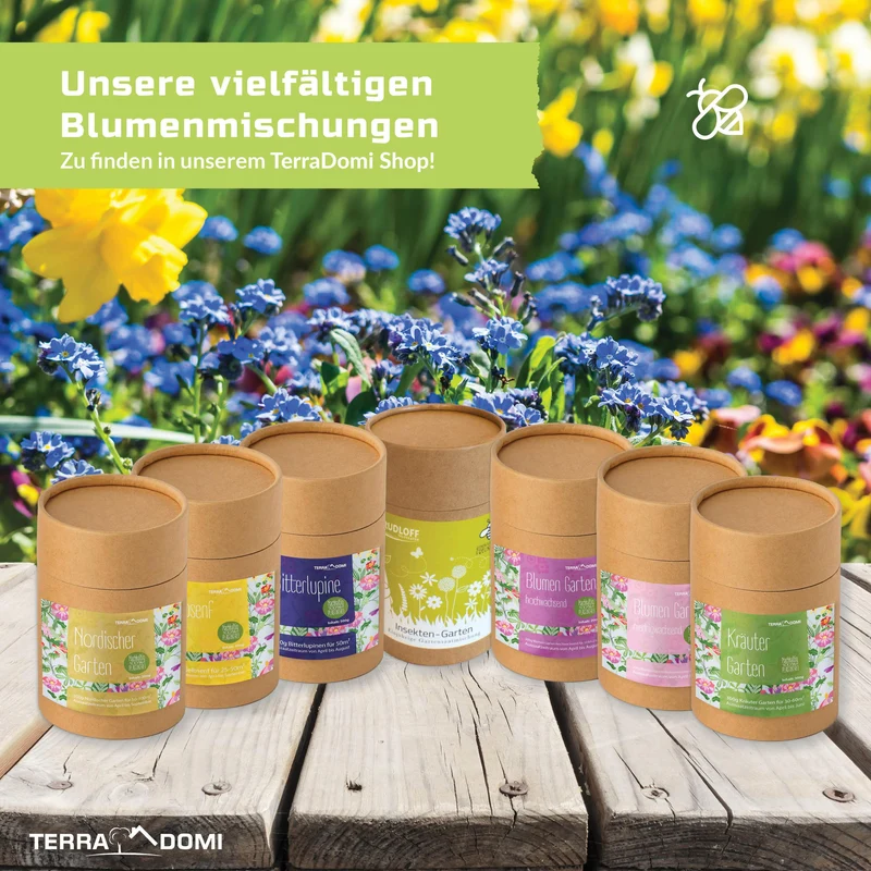 Kräuter-Garten 300g I Mischung mit duftigen Kräutern