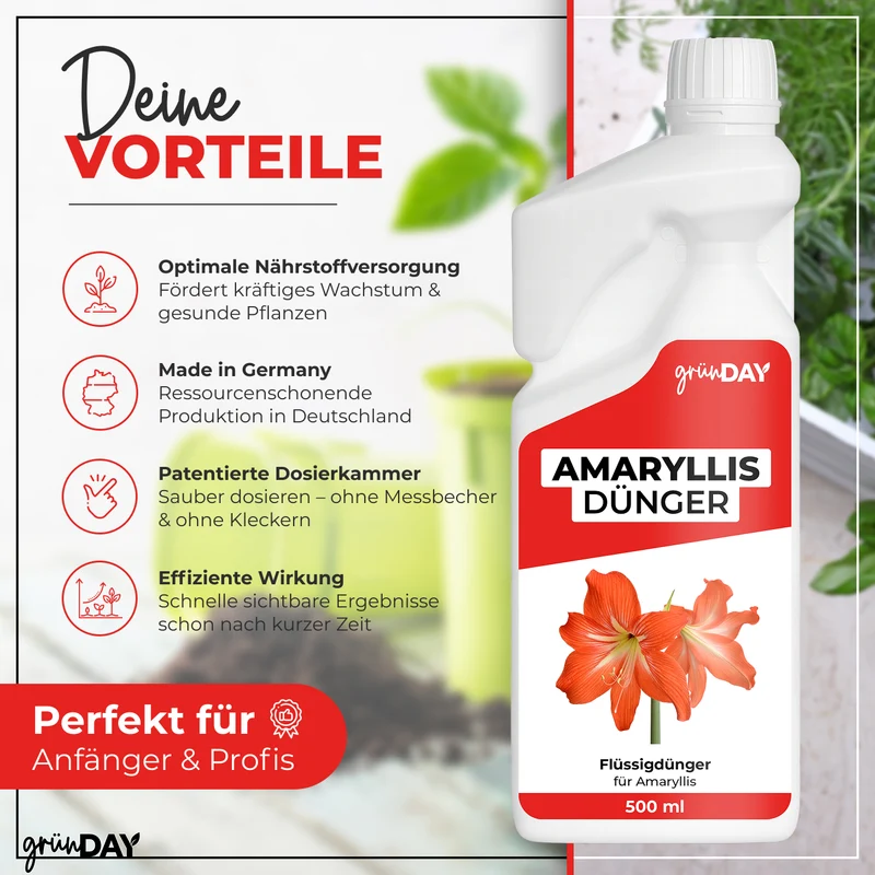 Amaryllis-Flüssigdünger 500 ml