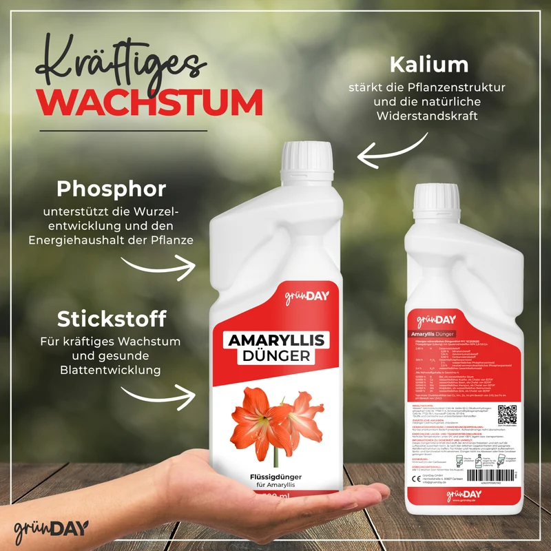 Amaryllis-Flüssigdünger 500 ml