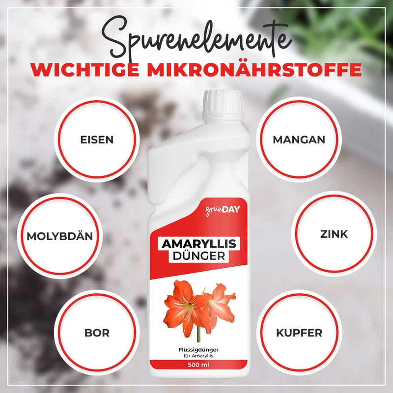 Amaryllis-Flüssigdünger 500 ml