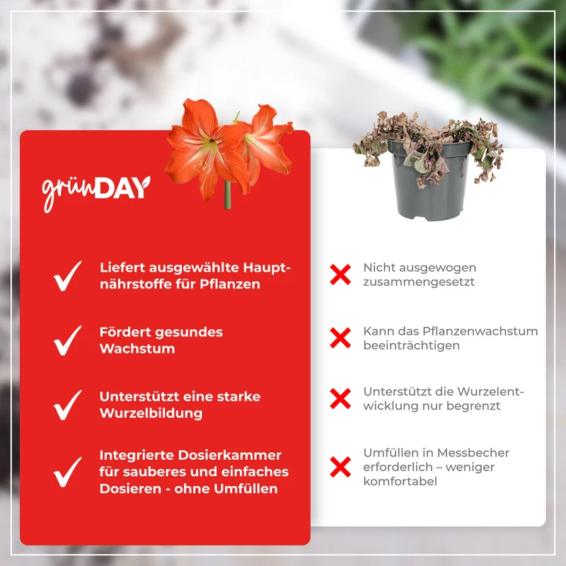 Amaryllis-Flüssigdünger 500 ml