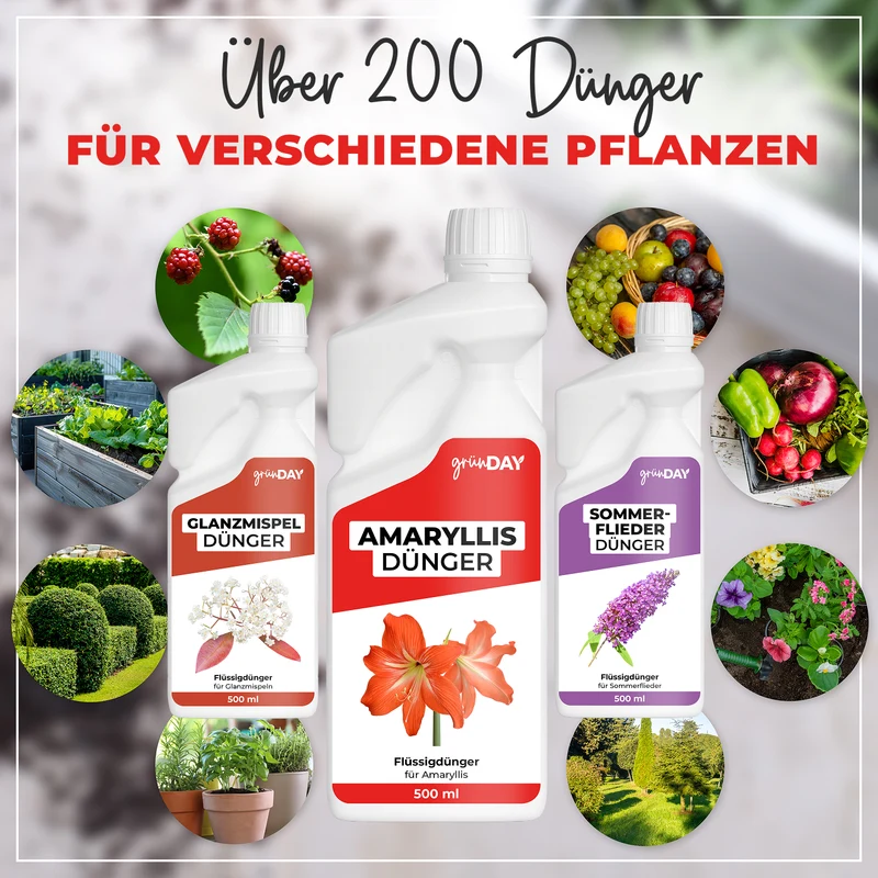 Amaryllis-Flüssigdünger 500 ml