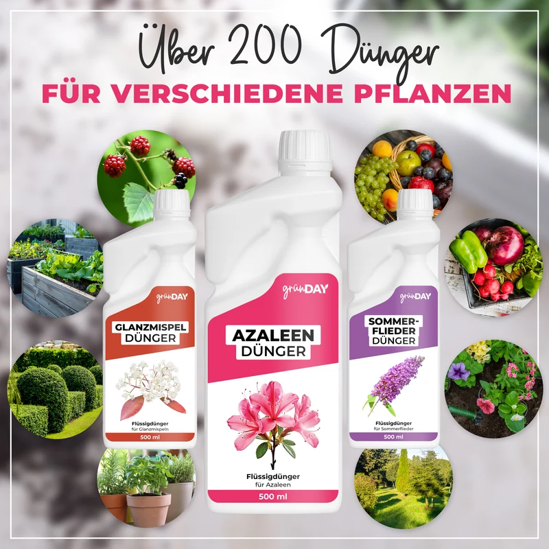 Azaleen-Flüssigdünger 500 ml