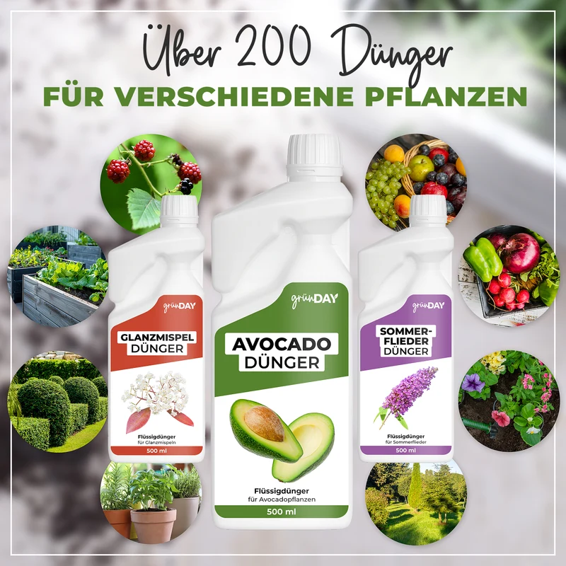Avocado-Flüssigdünger 500 ml