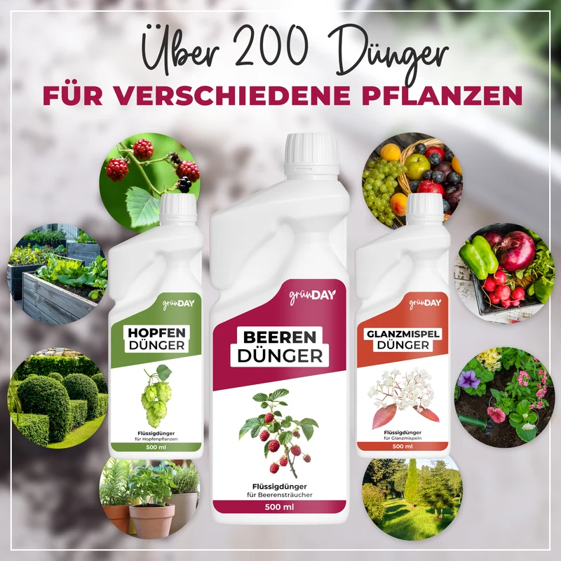 Beeren-Flüssigdünger 500 ml