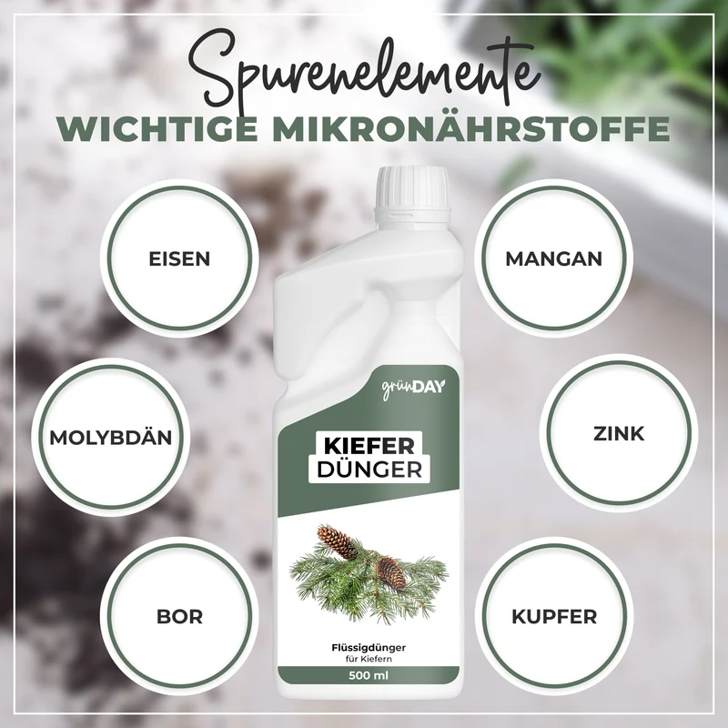 Kiefer-Flüssigdünger 500 ml