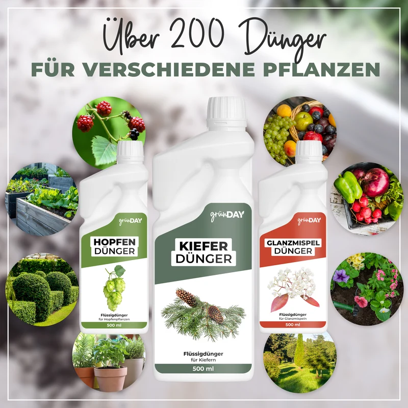 Kiefer-Flüssigdünger 500 ml