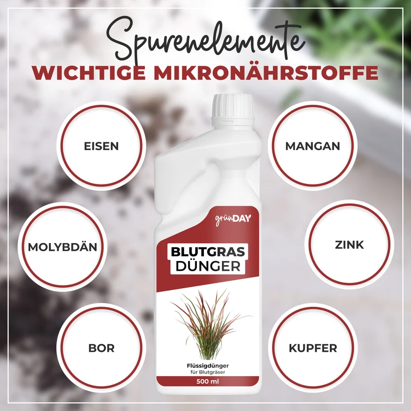 Blutgras-Flüssigdünger 500 ml