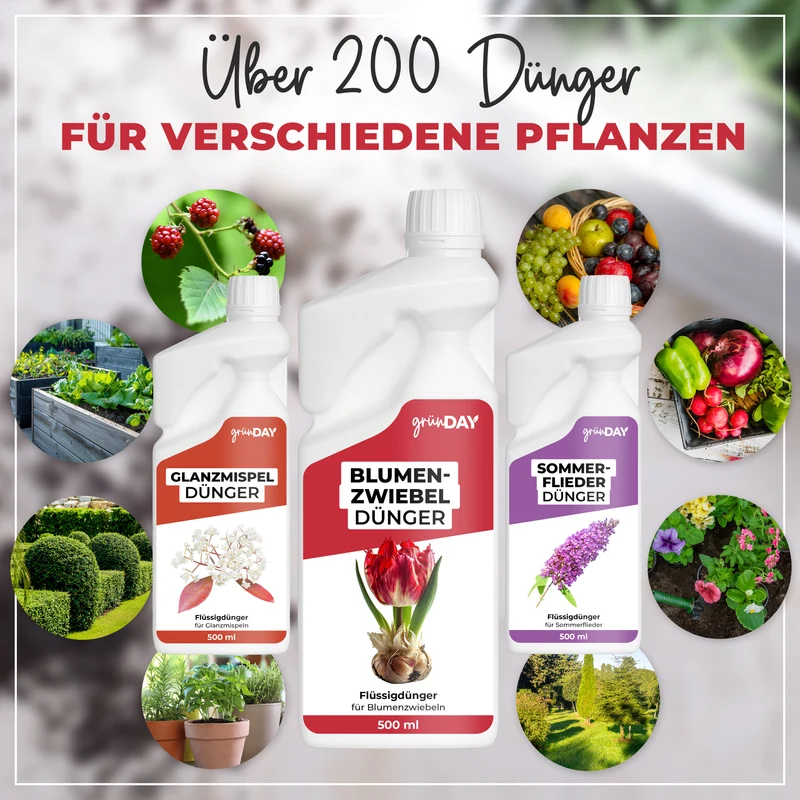 Blumenzwiebel-Flüssigdünger 500 ml